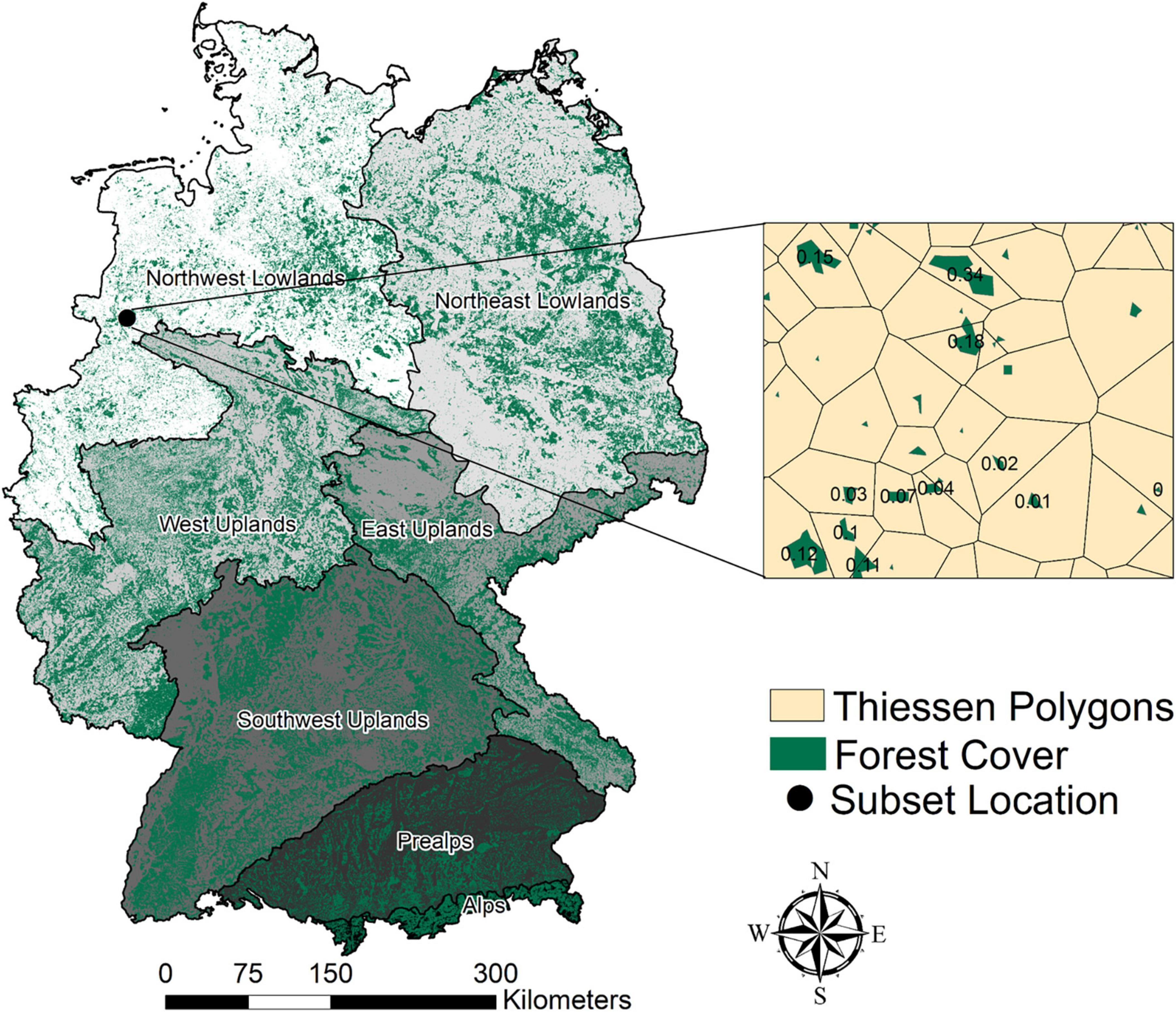 Does fragmentation contribute to the forest crisis in Germany?